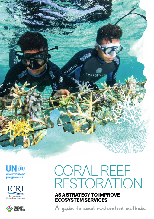 icri 30 years 1994 2024 in partnership for coral