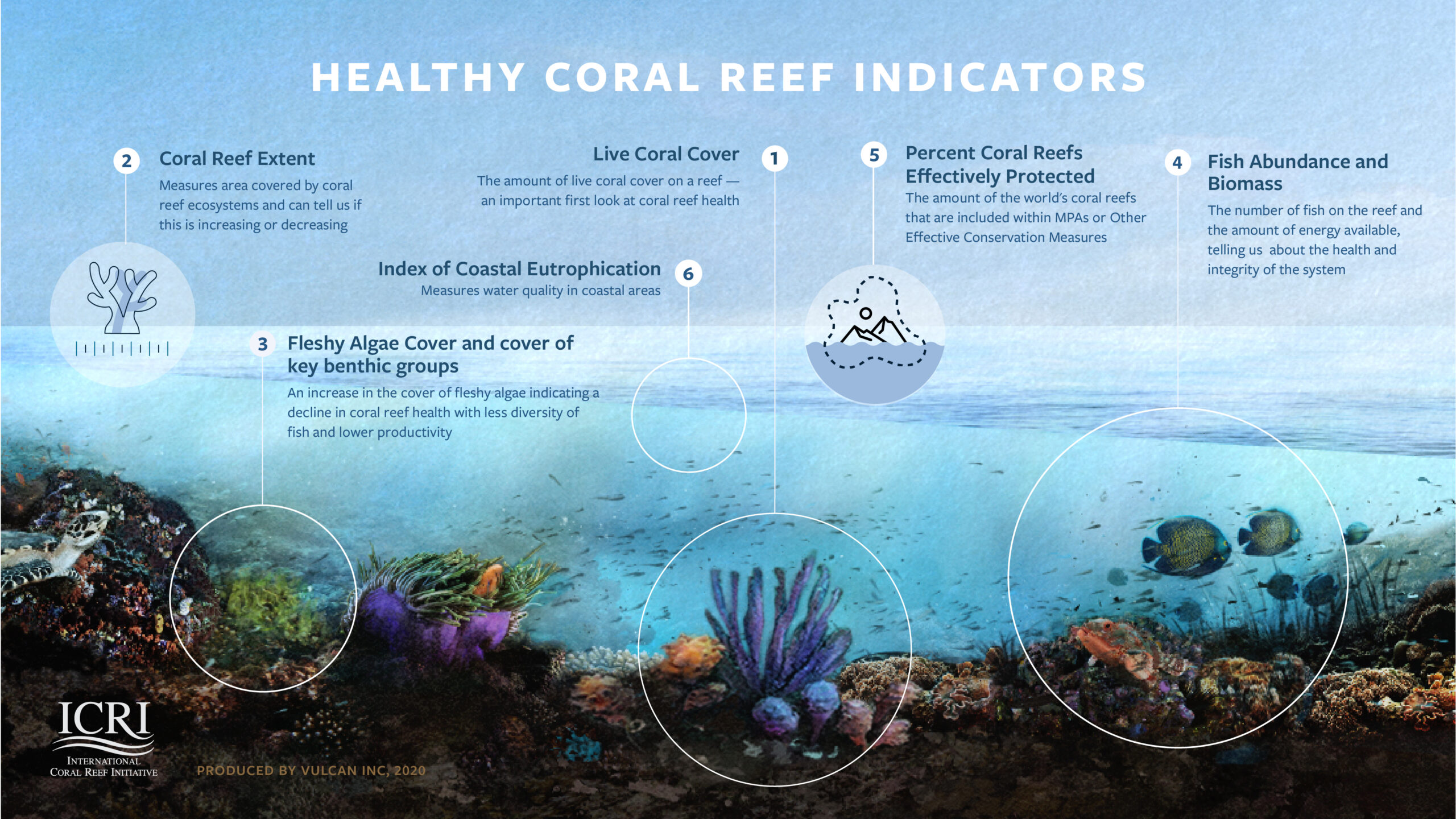 ICRS And The Convention On Biological Diversity - International Coral ...