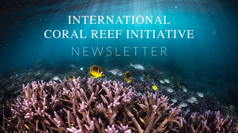 international-coral-reef-initiative-may-2021-newsletter